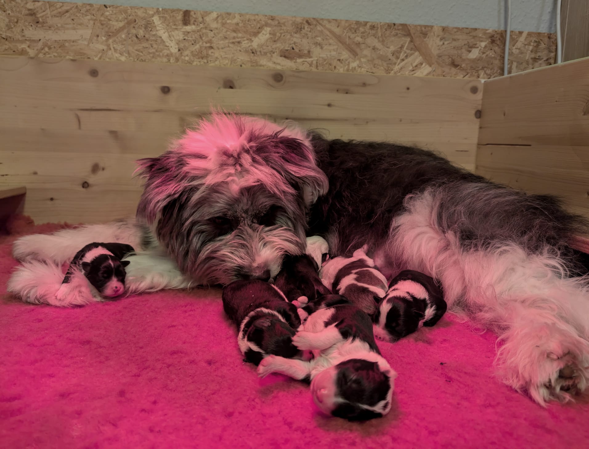 PHOTO 2025 11 08 19 27 24